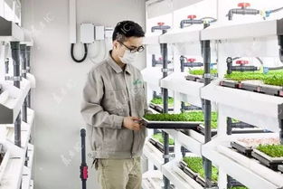 植物照明工廠 為健康買單，還是科技賦能農業的未來？